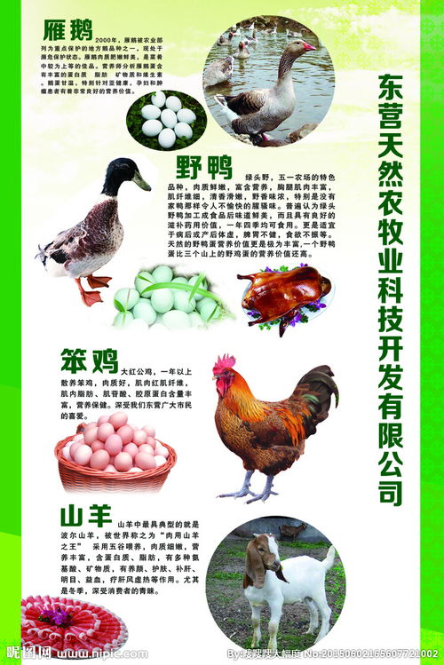 畜牧產(chǎn)品圖片