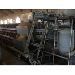 清糞機(jī)廠 清糞機(jī) 煜鑫雞籠 查看