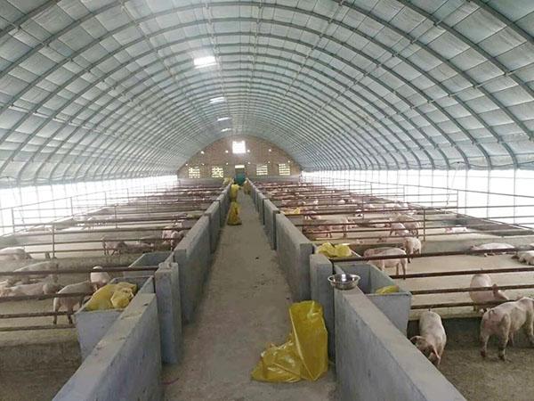 畜牧養殖大棚建設 - 產品網