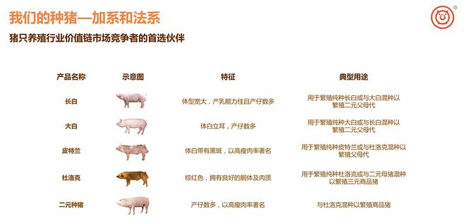 超級(jí)畜牧,勇攀“豬”峰-央視精彩展現(xiàn)天兆豬業(yè)樓房智能養(yǎng)豬場(chǎng)