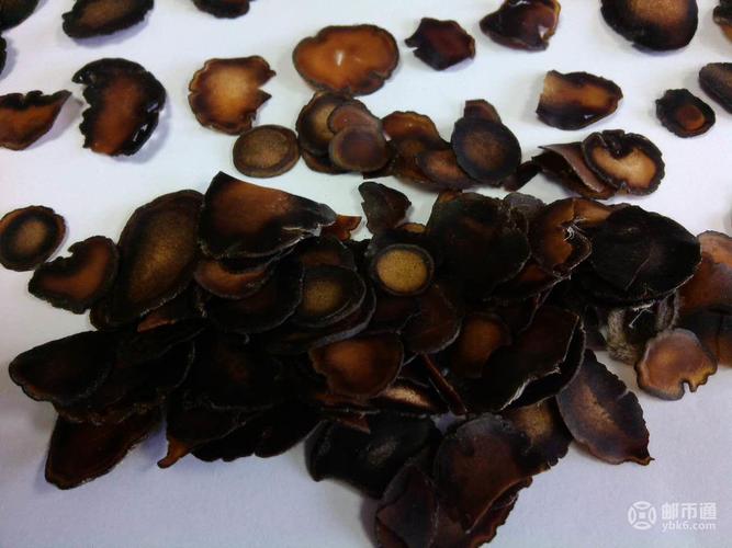吉林農業大學雙陽畜牧基地鹿產品:鹿鞭,鹿茸,蠟片