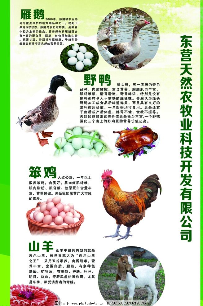 畜牧產(chǎn)品圖片