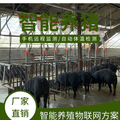 智能養豬解決方案養豬智能設備 智慧養豬