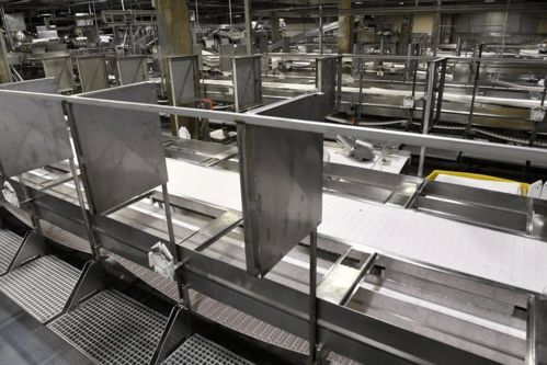 為何進口冷鏈食品頻頻被檢測陽性 美國日均18萬新增的背后