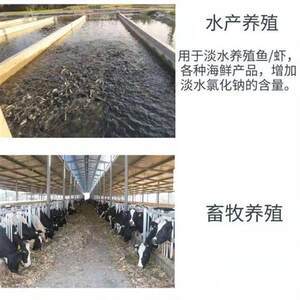 【豬用飼料圖片】近期1800組豬用飼料