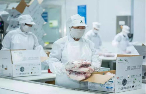 從草原到餐桌的美味 錫林郭勒羊肉