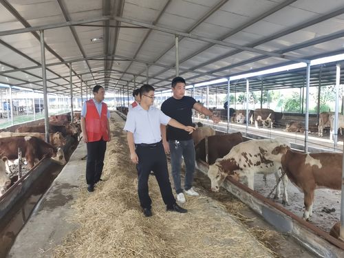 梁山農(nóng)商銀行 擦亮綠色金融品牌 夯實高質(zhì)量發(fā)展根基