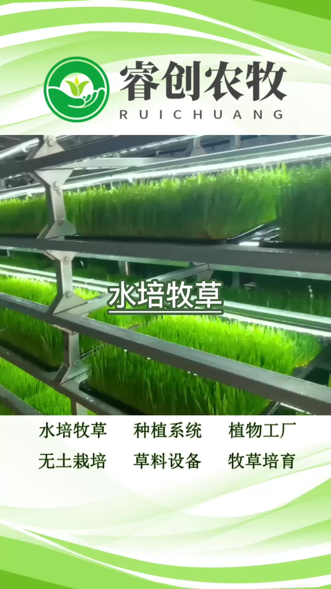 水培牧草工廠,畜牧現(xiàn)代水培牧草設(shè)備工廠帶你了解設(shè)備產(chǎn)品;.
