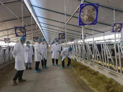 鄂爾多斯市又有一家企業(yè)申報有機產(chǎn)品通過現(xiàn)場檢查