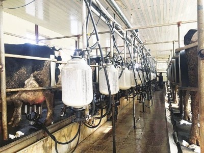 畜牧機(jī)械生產(chǎn)企業(yè)將迎來發(fā)展黃金期