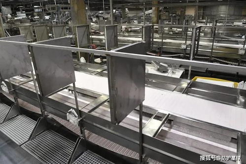 進(jìn)口食品安全嗎 疫情為何在美國肉類加工廠中肆虐