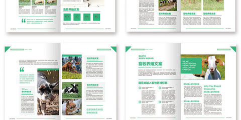 整套新版畜牧養殖產品宣傳冊