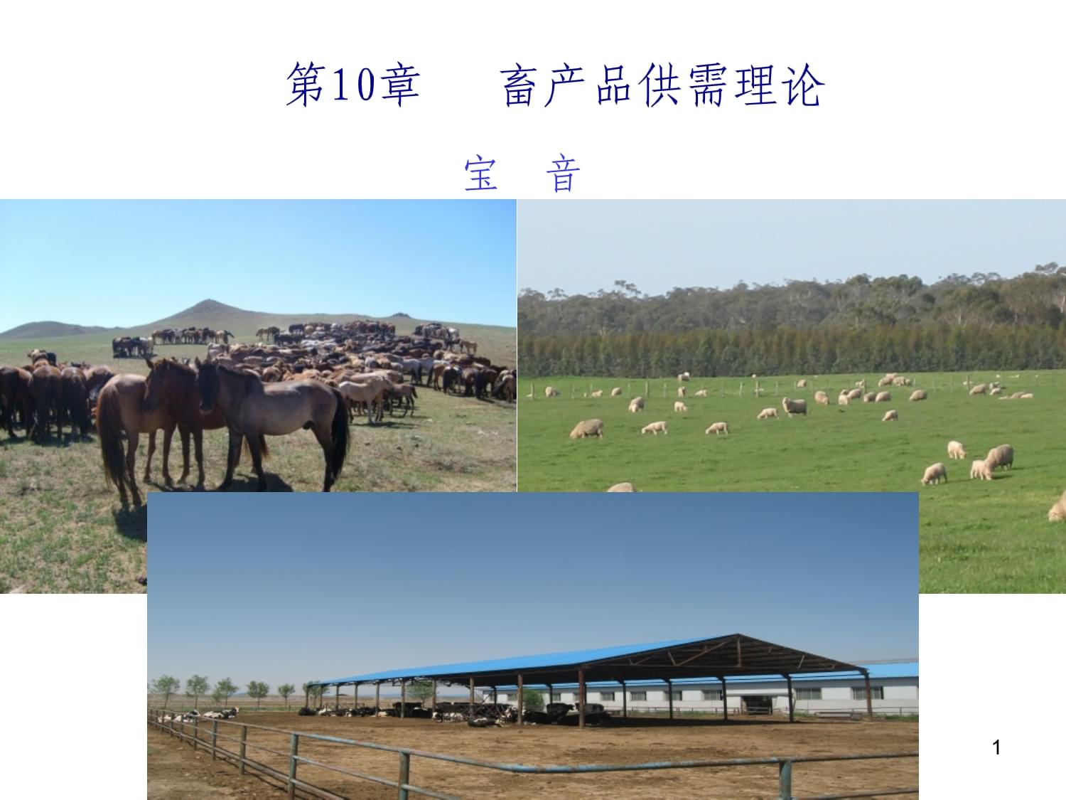 畜牧業經濟管理課件
