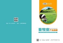 畫冊模板畫冊模板在線設計