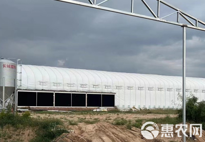 專營(yíng)大棚管材大棚骨架大棚材料養(yǎng)殖大棚種植大棚連棟棚
