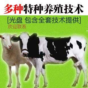 【雞的養(yǎng)殖技術(shù)】?jī)r(jià)格,廠家,畜牧業(yè)副產(chǎn)品-搜了網(wǎng)
