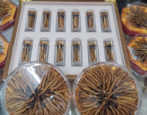 果洛州生態(tài)畜牧業(yè)產(chǎn)品全面進(jìn)入上海市場(chǎng)啟動(dòng)會(huì)