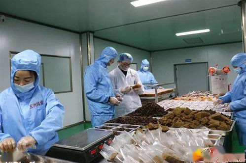 投產(chǎn)不足3個(gè)月,產(chǎn)值突破600萬(wàn) 這家公司是