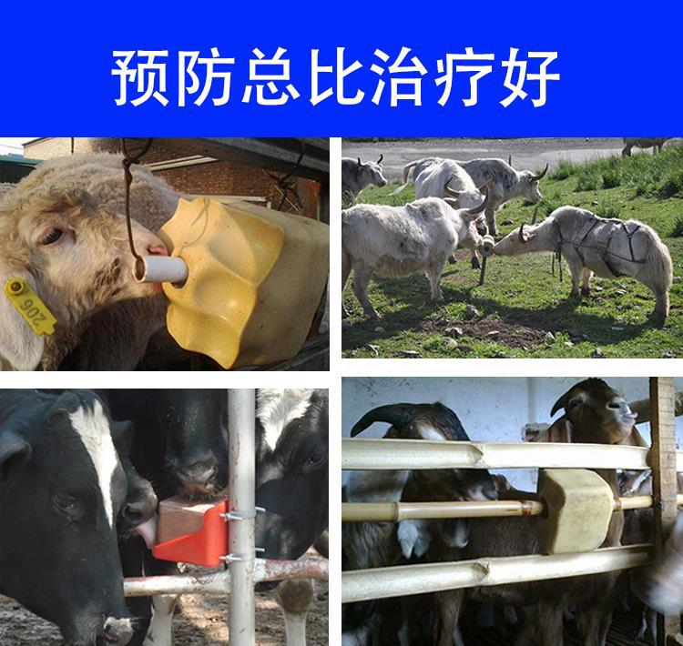 牛舔鹽磚驅(qū)蟲(chóng)舔磚羊山羊懷孕微量元素5KG畜牧羊吃的驢用養(yǎng)殖添磚
