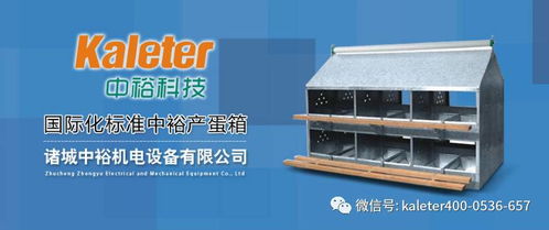 產品 冬季蛋雞產蛋期飼養管理,中裕科技自動 手動產蛋箱 符合中國國情的產蛋箱