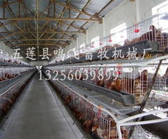 河南雞籠 鳴飛機械,最好的雞籠設備廠 蛋雞籠
