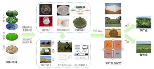 破解 人畜爭糧 ,提升飼草加工水平,這是制約我國畜牧業發展的重要問題