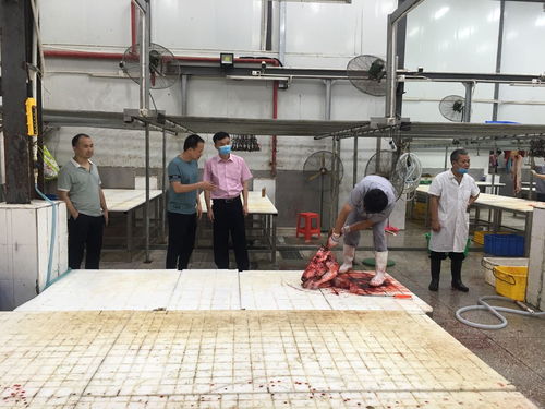 加強監(jiān)管確保肉品質(zhì)量安全 縣畜牧獸醫(yī)局到縣肉聯(lián)廠突擊檢查
