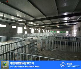 圖 鄭州養(yǎng)豬料線廠家定制 鄭州養(yǎng)豬料線