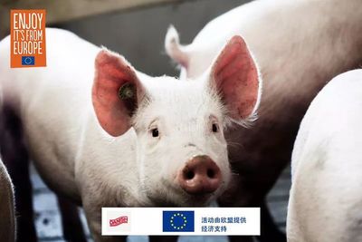 豬肉,中國(guó)傳統(tǒng)文化中的至臻佳肴