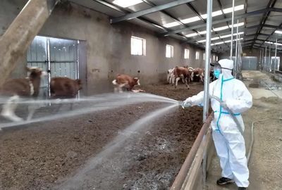 卓資縣農牧和科技局開展2023年“大清洗、大消毒”工作