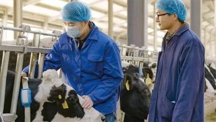 科技公司搶占畜牧業(yè),人工智能到底會不會讓農(nóng)民下崗?