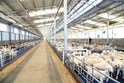 天賦河套,引領巴彥淖爾實現“塞上江南、綠色崛起”
