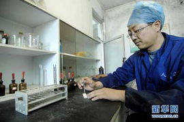 放心肉是怎樣煉成的 豬肉溯源記 多圖