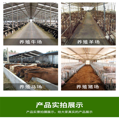 現代化飼養牛羊撒料車 節能省電養殖喂料車廠家