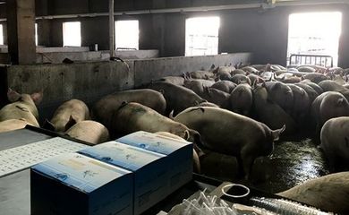 鄭州市畜牧局開展春節期間我市畜產品質量安全專項檢查