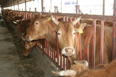 【指靜脈 門禁考勤 安防 生物識別】_指靜脈 門禁考勤 安防 生物識別價格_指靜脈 門禁考勤 安防 生物識別批發_指靜脈 門禁考勤 安防 生物識別供應商-搜了網指靜脈 門禁考勤 安防 生物識別產品搜索