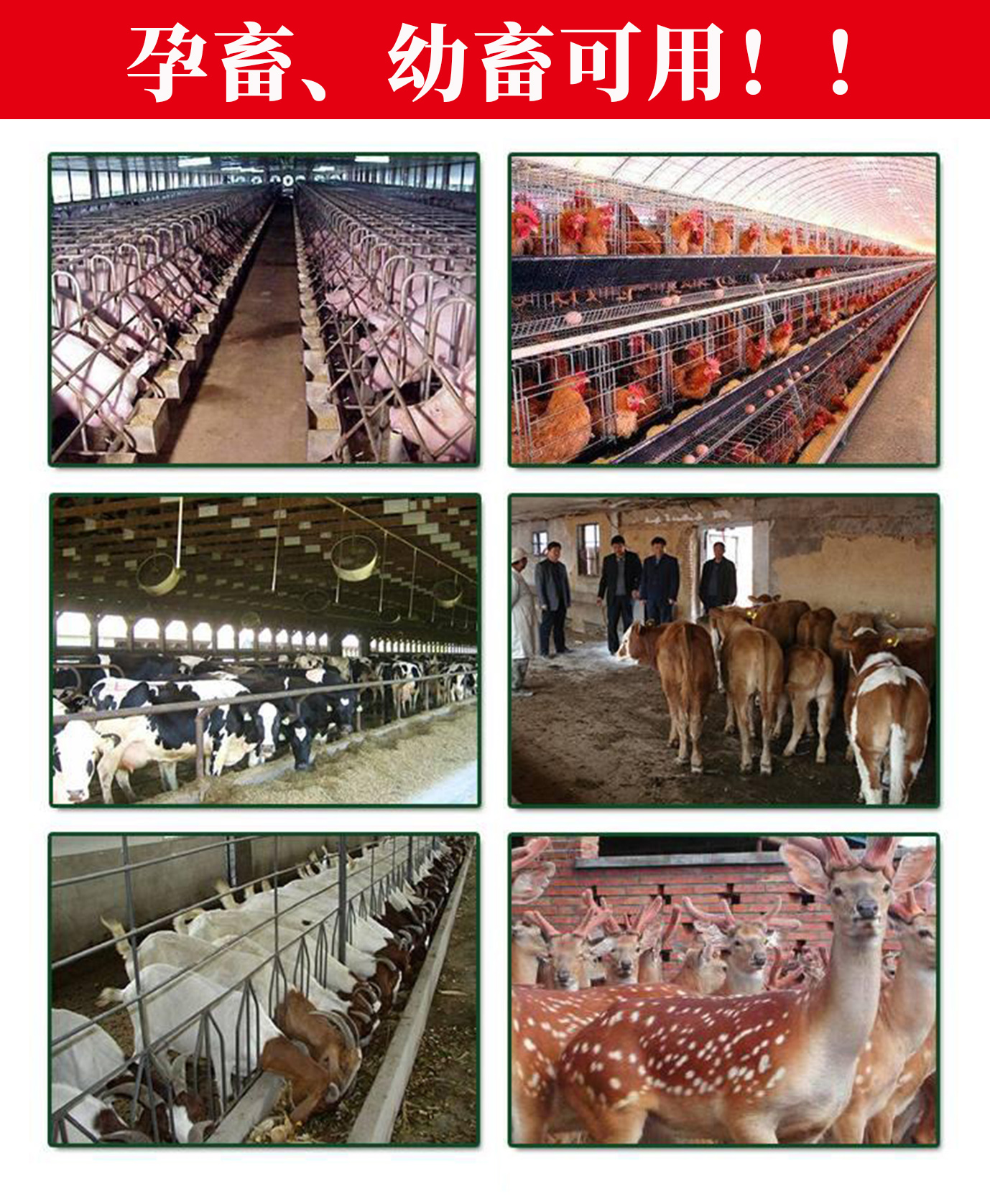 畜牧蚊香養殖場專用豬牛羊母豬寵物野外獸用驅蟲滅蚊盤香長效