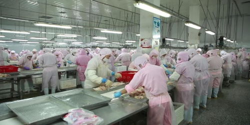濟寧畜牧產品有序生產 保障市場供應