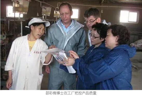 禾豐牧業,21年耕耘鍛造中國500強企業-畜牧人才網