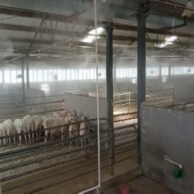 永創嘉輝養殖場消毒,滁州養殖場消毒除臭設備