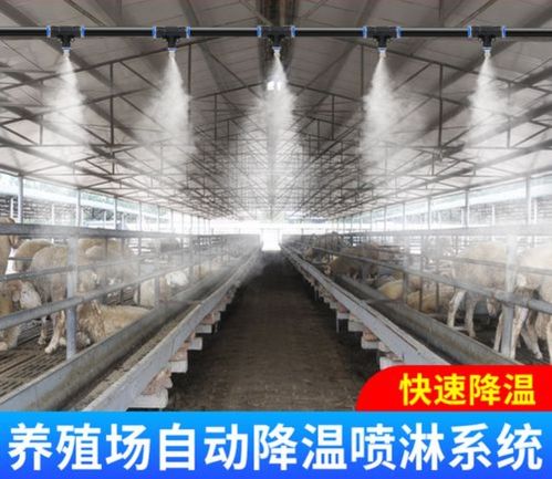 重慶畜牧場(chǎng)車輛噴淋消毒通道廠家