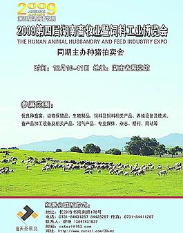 畜牧展海報圖片_畜牧展海報素材_畜牧展海報模板免費下載